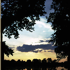 photo "Pond of Gold"