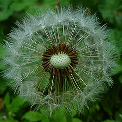 photo "Carrieds away by a windflaw."