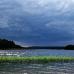 фото "Перед грозой"