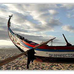 photo "D` Aparecida Lady"