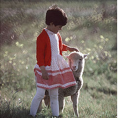 фото "Tenderness moment"