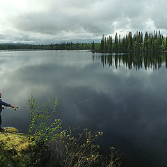 photo "silence"