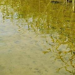 фото "Вода."