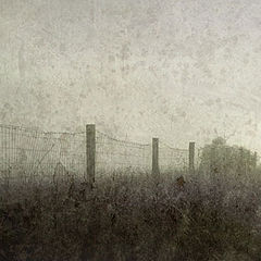 photo "Fenced"