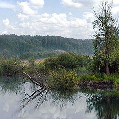 photo "Koion-river"