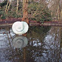 фото "Reflections in a pond"