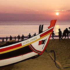 фото "All tug the boat"