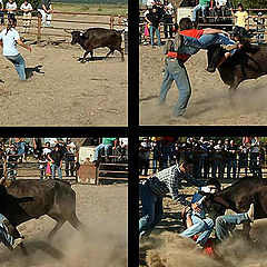 фото "Portuguese woman and Bull fight"