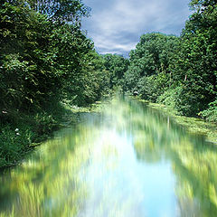 photo "A stream in a meadow"