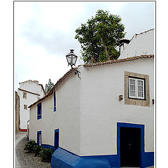 фото "The Blue Corner"