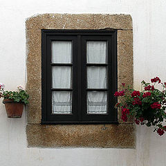 фото "Flowers and the window"
