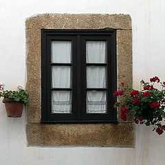 photo "Flowers and the window"