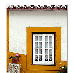 фото "A Flowers`s Song for an Yellow Window"