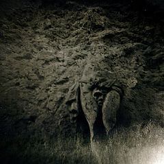 photo "#"
