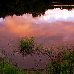 photo "Edges of Night"