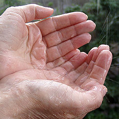 photo "Hands that love the rainy days"