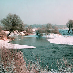 photo "Going to zubets. Protva river"