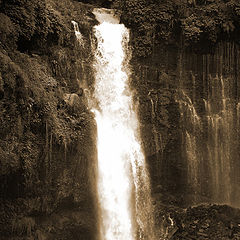 photo "Shiraito Falls III"