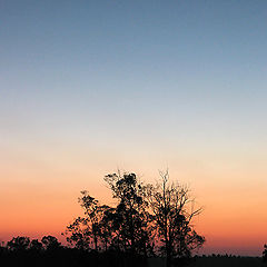 photo "Resting hour"