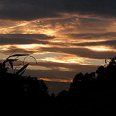 photo "Sunset from a hill"