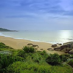 photo "Beach of Pinho"