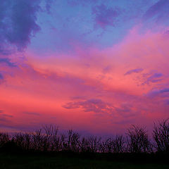 photo "Night Clouds"