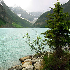 фото "lake louise"