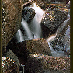 photo "Among Stones"