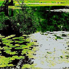 photo "Small pond."