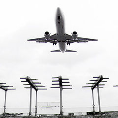 photo "fly"