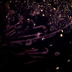 photo "On me night was omitted...Go all from me,away..."