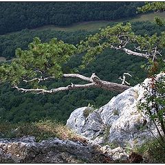 фото "Looking Down From A Cliff"