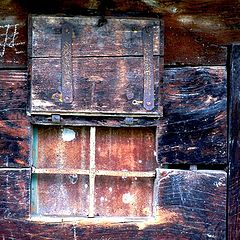 photo "Wooden wall II"