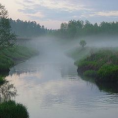 photo "Foggy evening"