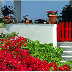 фото "The house with the red bougainvillea"