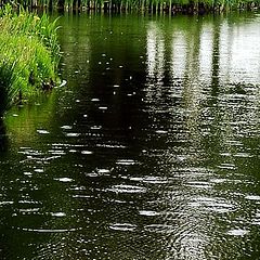 фото "Круги на воде."