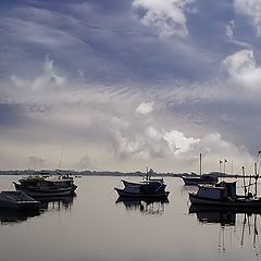 photo "Boats"