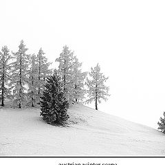 photo "austrian winter scene"