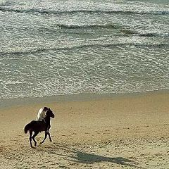 photo "Sea horseman."