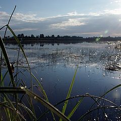 фото "Утро"