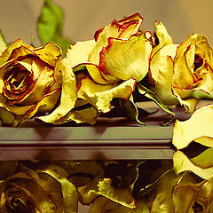 photo "@@@-2"