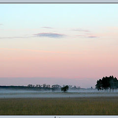 photo "Pink dream"