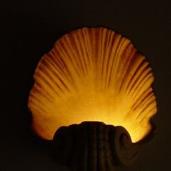 photo "Shell"