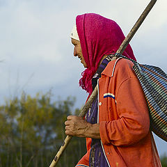 photo "Shepherds"