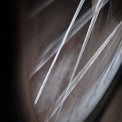 фото "spokes II"