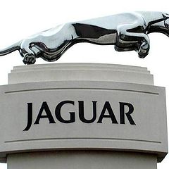 photo "Jaguar."