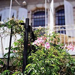 photo "Windows of old sity"