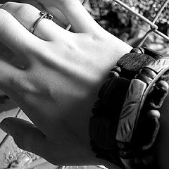 photo "feel the freedom"