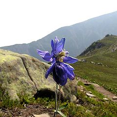 photo "Track on peak Cherskogo. Ridge Hamar-Daban"