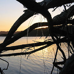 фото "Fishing at Sunset"